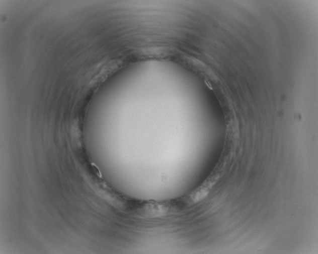 X0000076270764200610262030