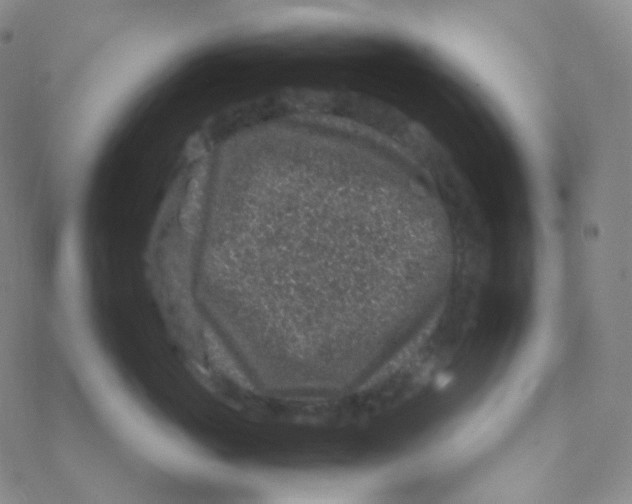 X0000076270765200610262030