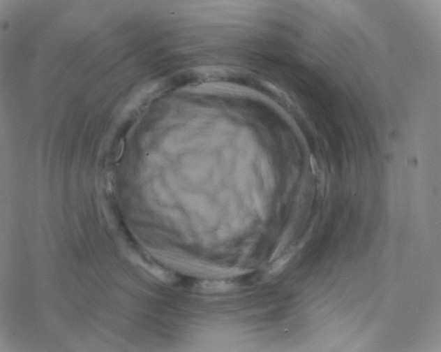 X0000076270766200610262030