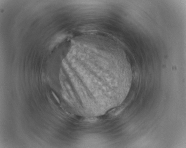 X0000076270767200610262030