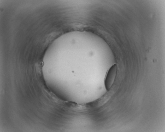 X0000076270768200610262030