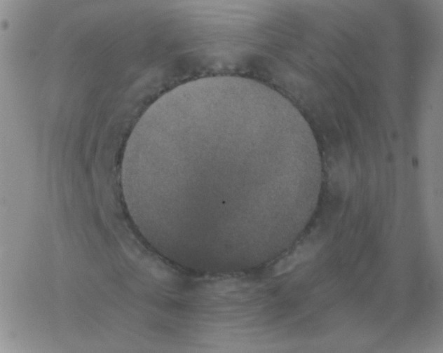 X0000076270769200610262029