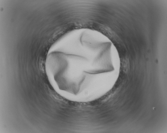 X0000076270770200610262029