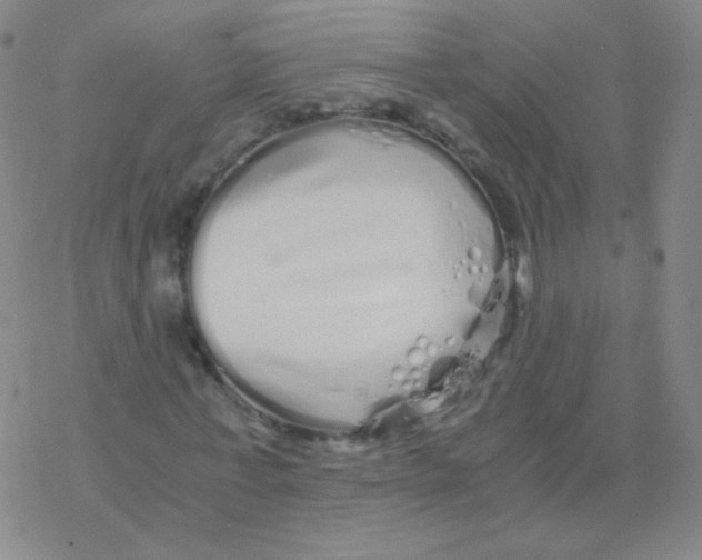 X0000076270771200610262029