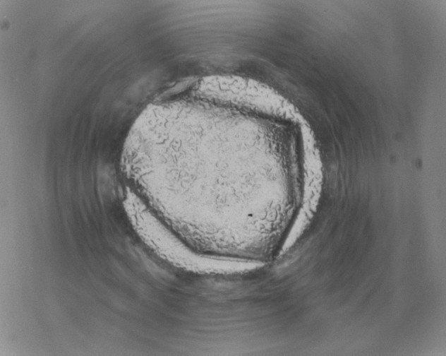 X0000076270772200610262029