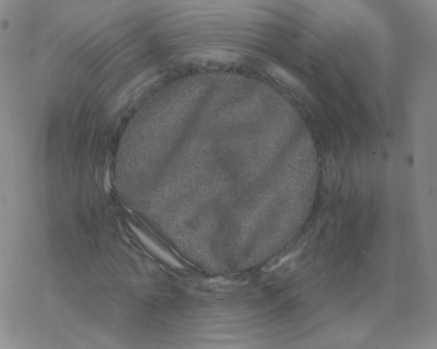 X0000076270774200610262029