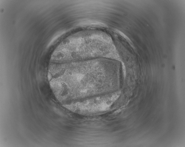 X0000076270775200610262029