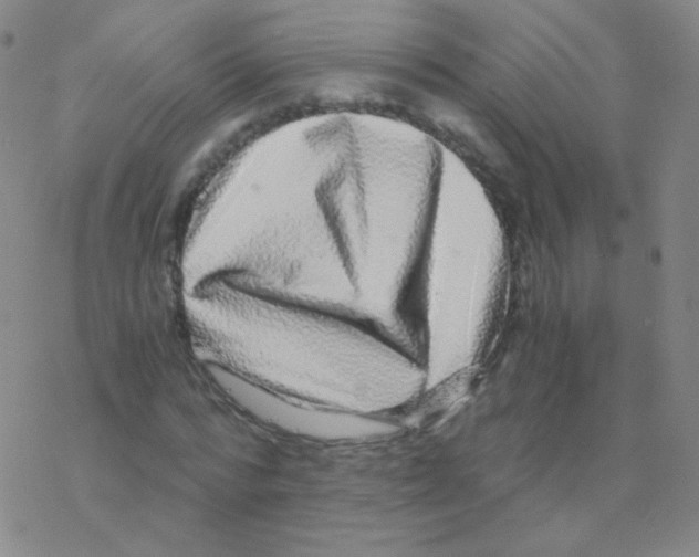 X0000076270776200610262029