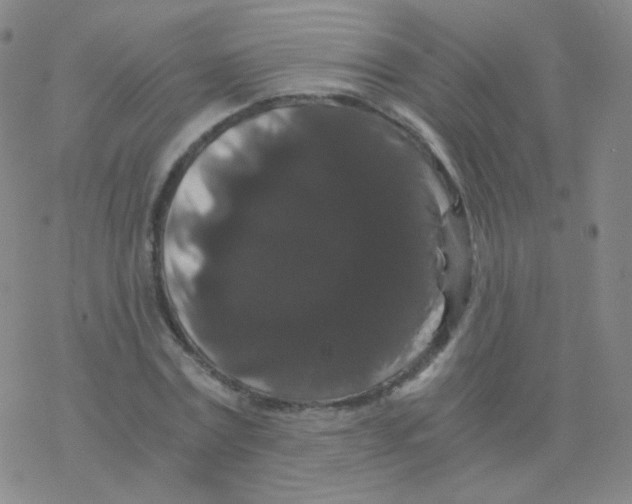 X0000076270779200610262029