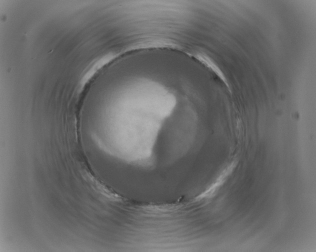 X0000076270781200610262029