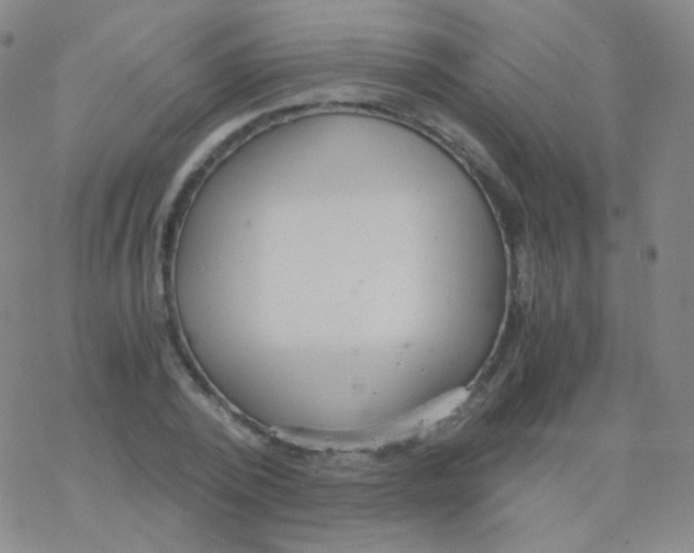 X0000076270784200610262029