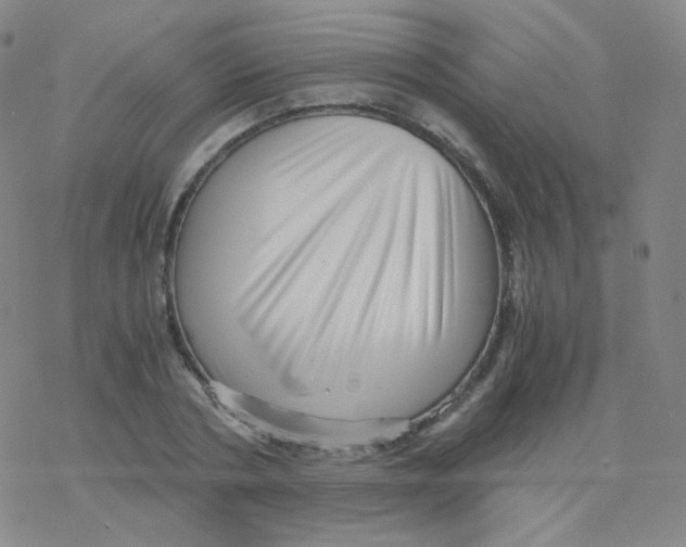 X0000076270786200610262029