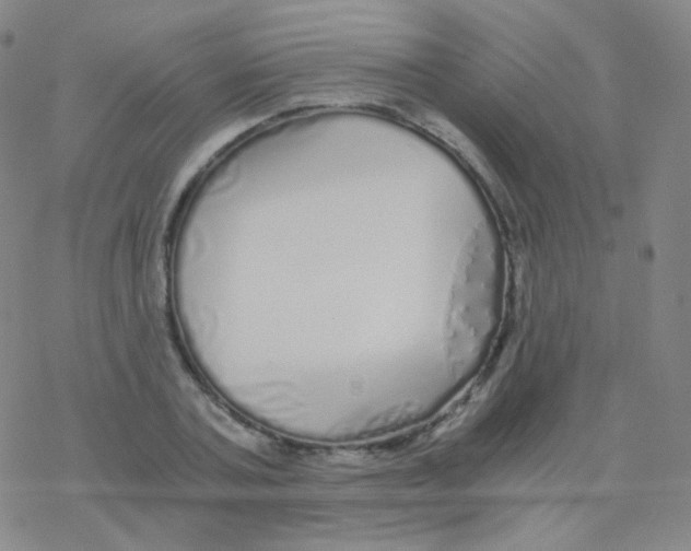 X0000076270787200610262029