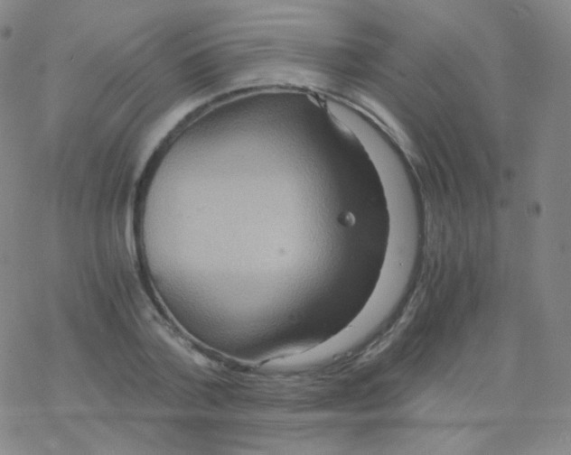 X0000076270788200610262029