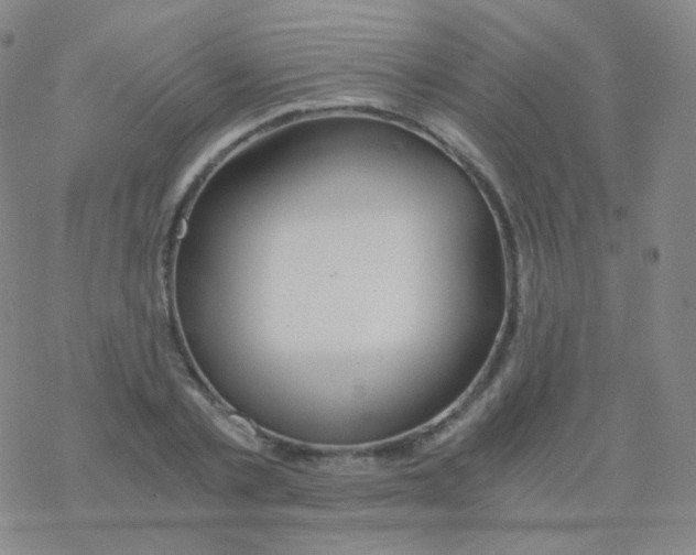 X0000076270789200610262029