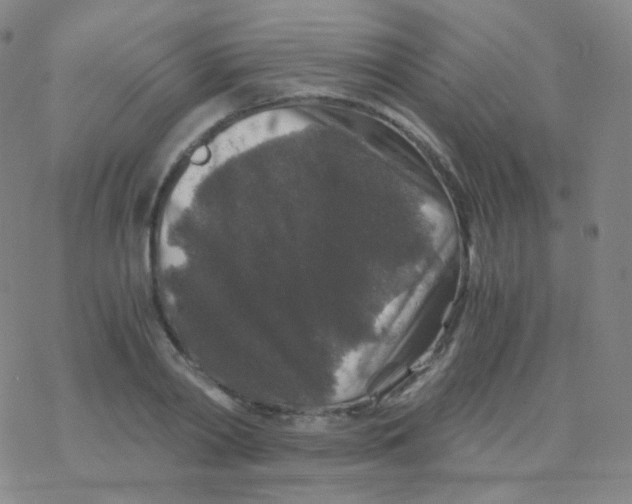 X0000076270790200610262029