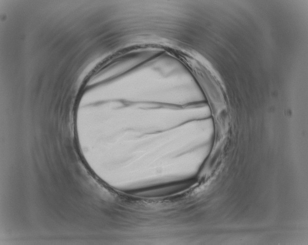 X0000076270791200610262029