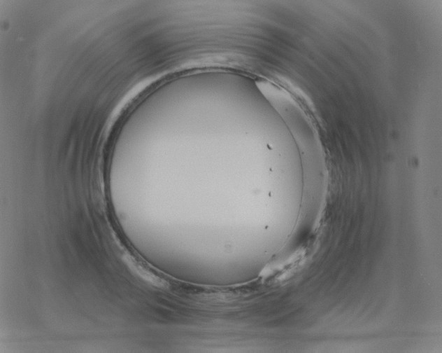 X0000076270792200610262029