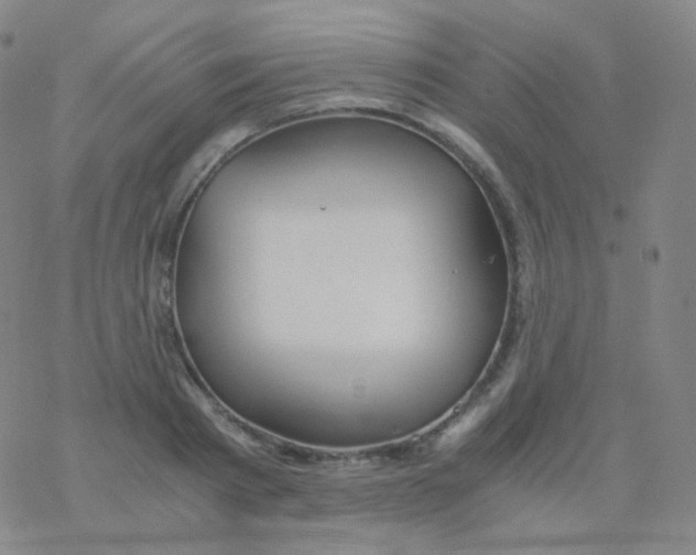 X0000076270793200610262029