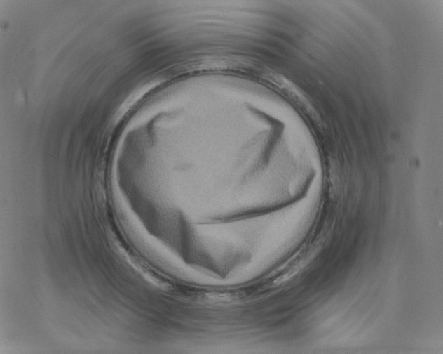 X0000076270794200610262029