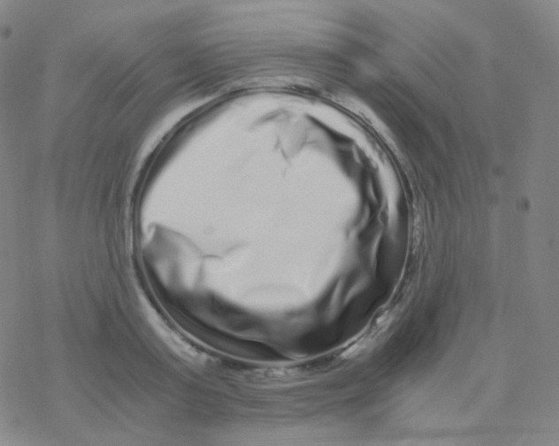 X0000076270795200610262029