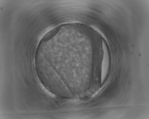 X0000076270797200610262029