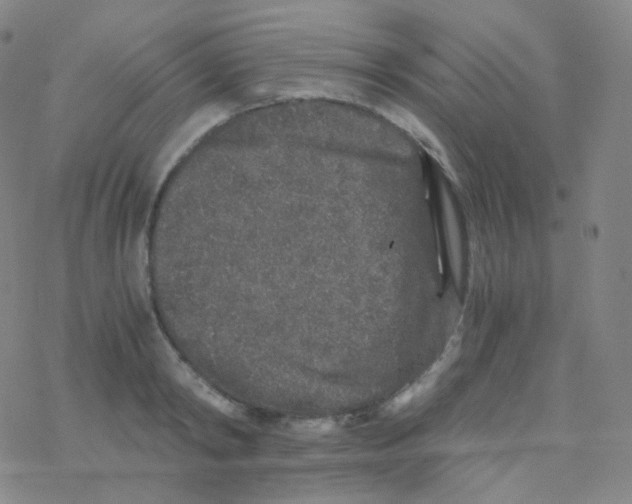 X0000076270798200610262029