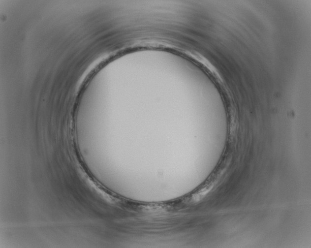 X0000076270799200610262029