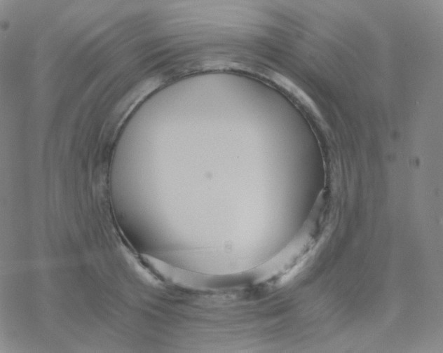 X0000076270801200610262029