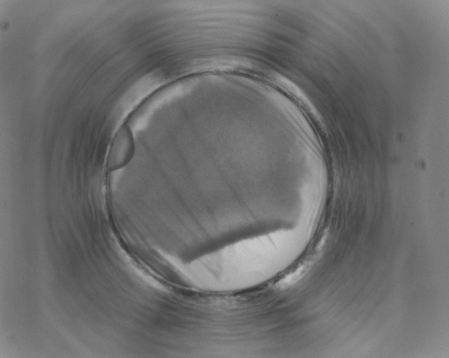 X0000076270802200610262029