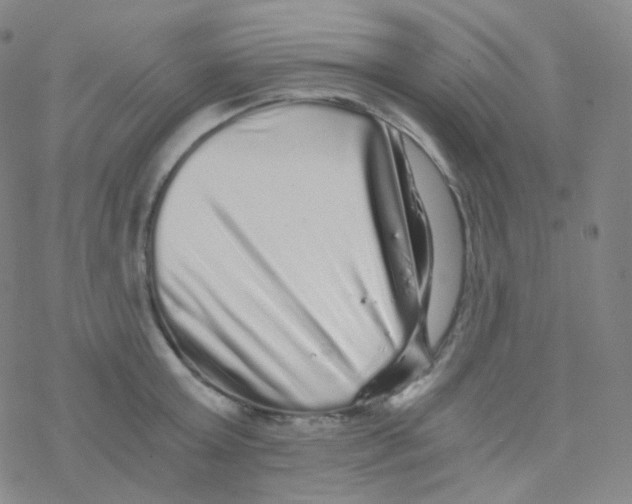 X0000076270803200610262029