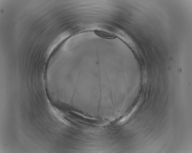 X0000076270806200610262029