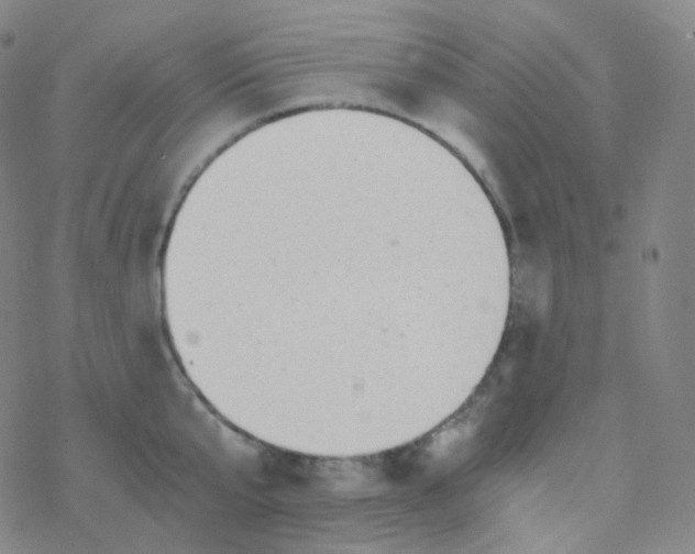 X0000076270807200610262029