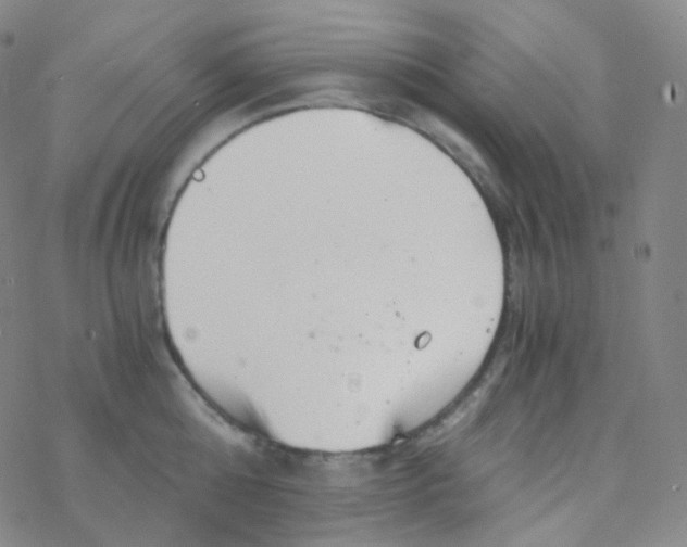 X0000076270808200610262029