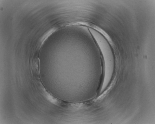 X0000076270809200610262029