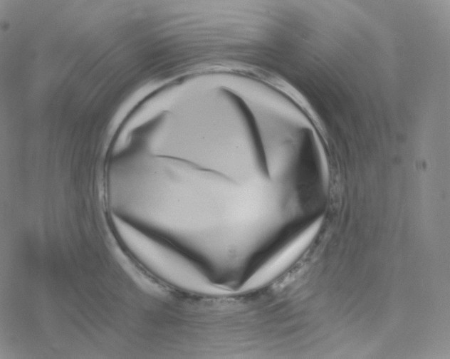 X0000076270811200610262029