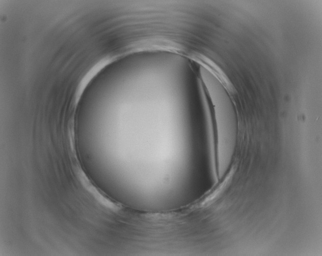 X0000076270812200610262029