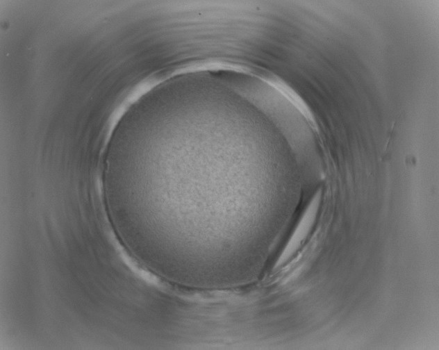 X0000076270813200610262029