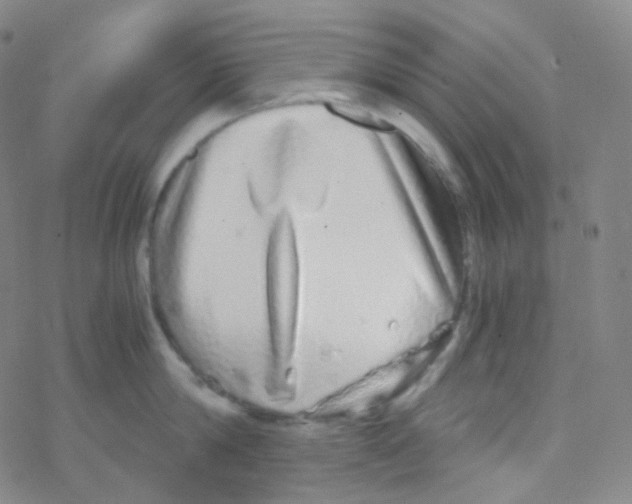 X0000076270814200610262029