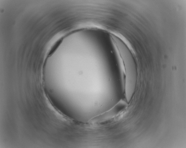 X0000076270815200610262029