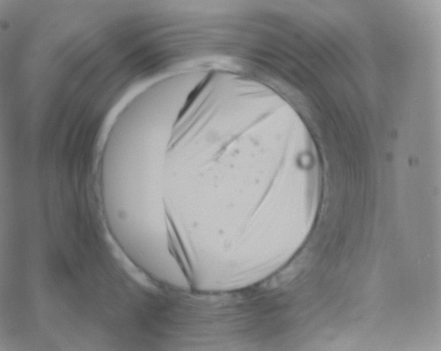 X0000076270816200610262029