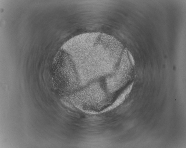 X0000076270817200610262028