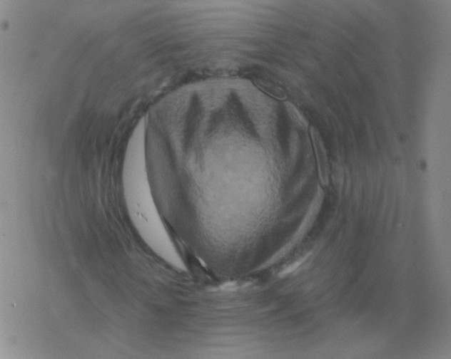 X0000076270818200610262028