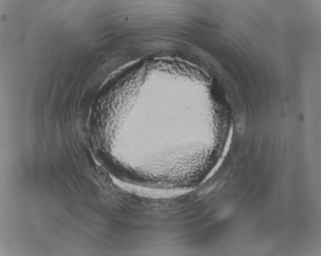 X0000076270819200610262028