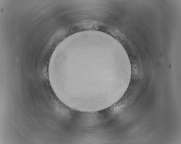 X0000076270820200610262028