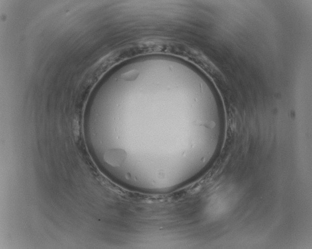 X0000076270821200610262028