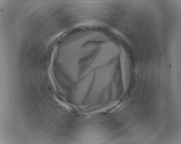 X0000076270822200610262028