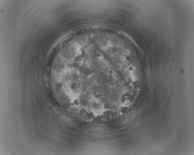 X0000076270823200610262028