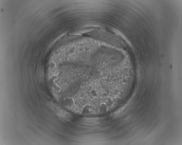 X0000076270825200610262028