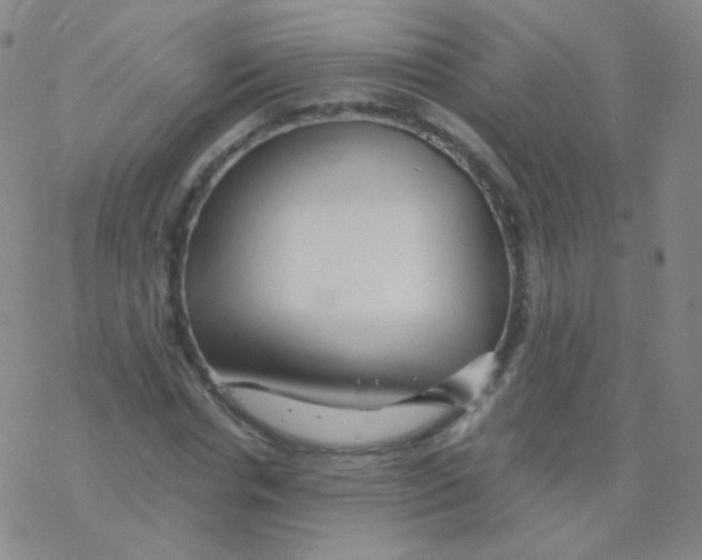 X0000076270826200610262028